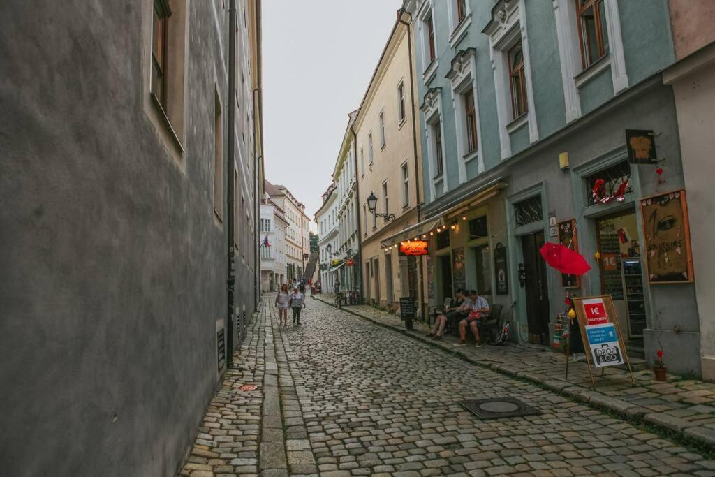 Cozy Apartment In The Heart Of The Historic City Bratislava Eksteriør bilde